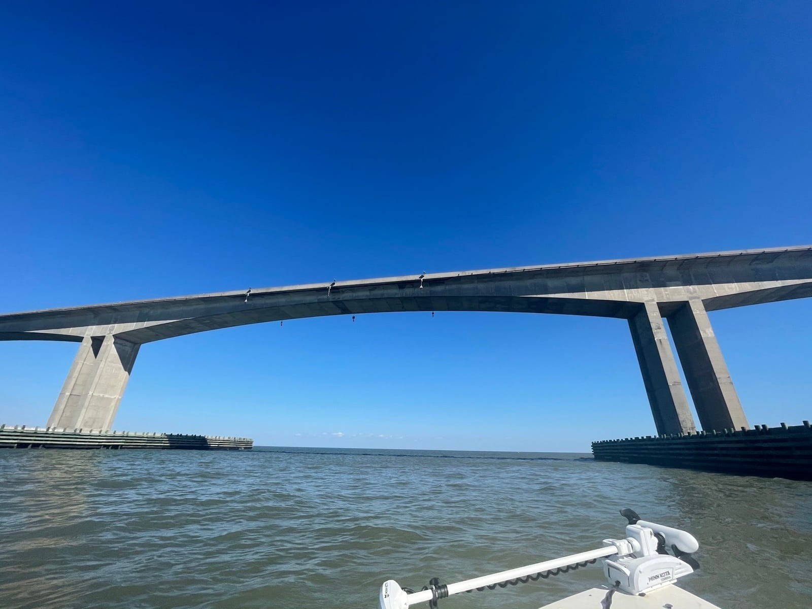 Dauphin Island Bridge main span viewed from the water